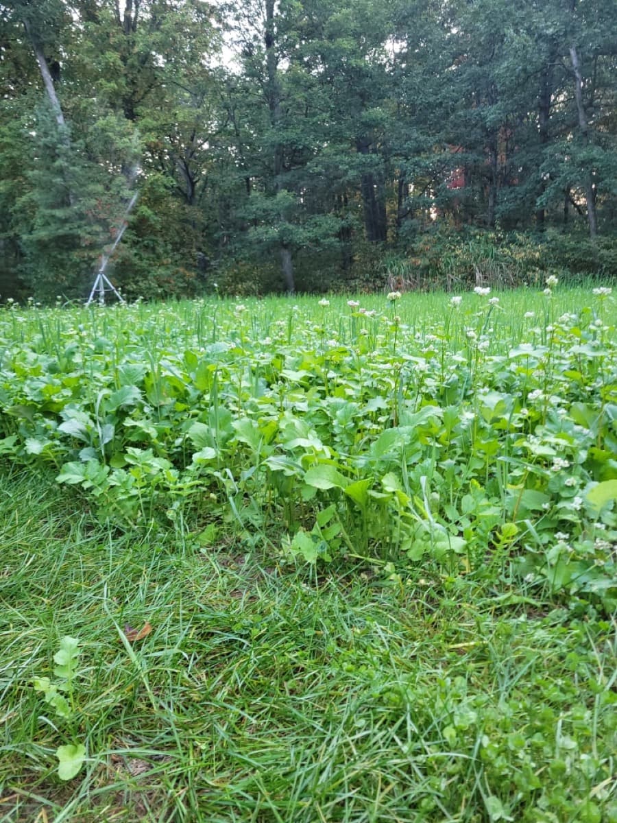 Food Plot Services service in West Michigan