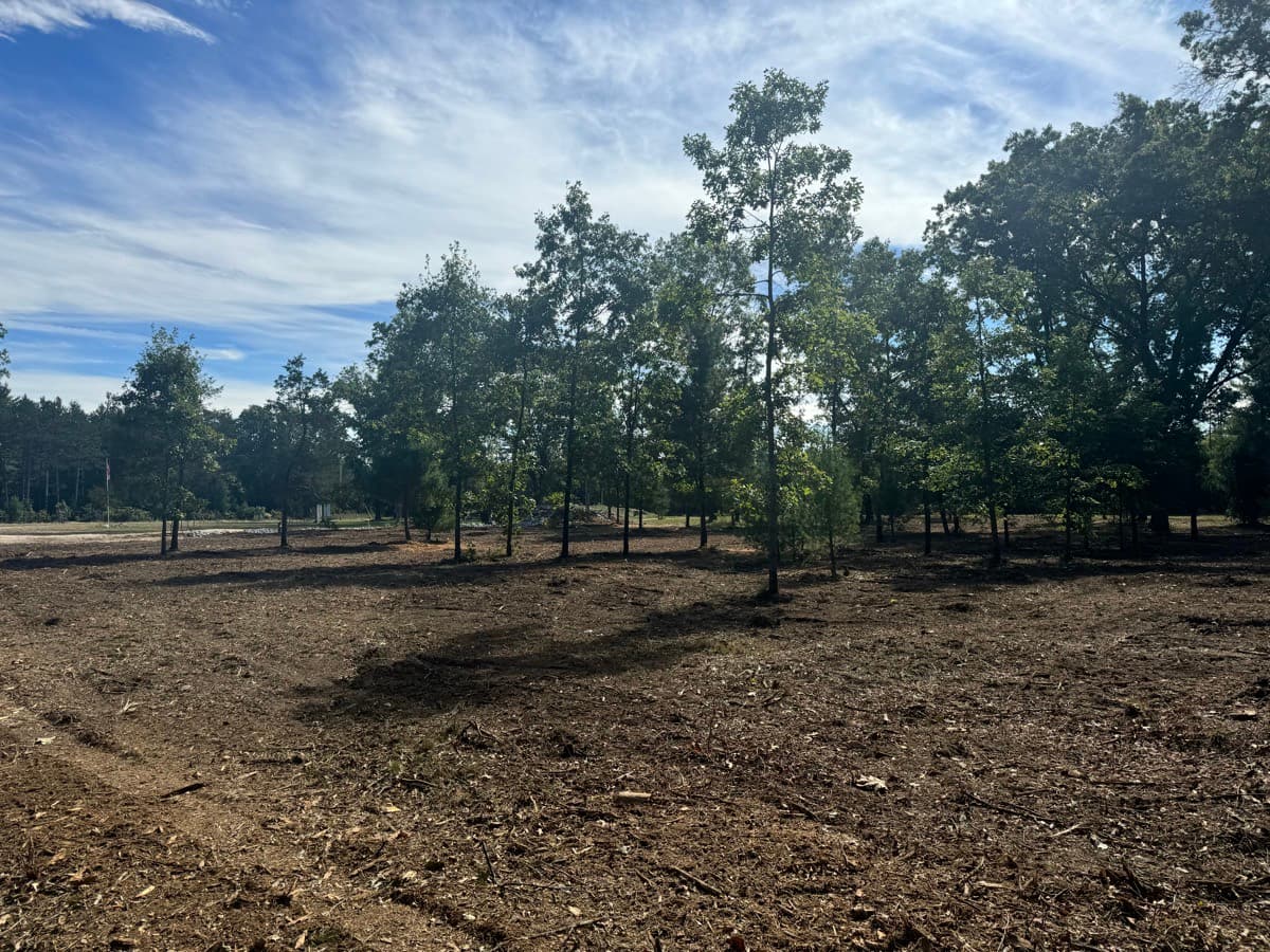 Logging Cleanup & Slash Clearing service in West Michigan