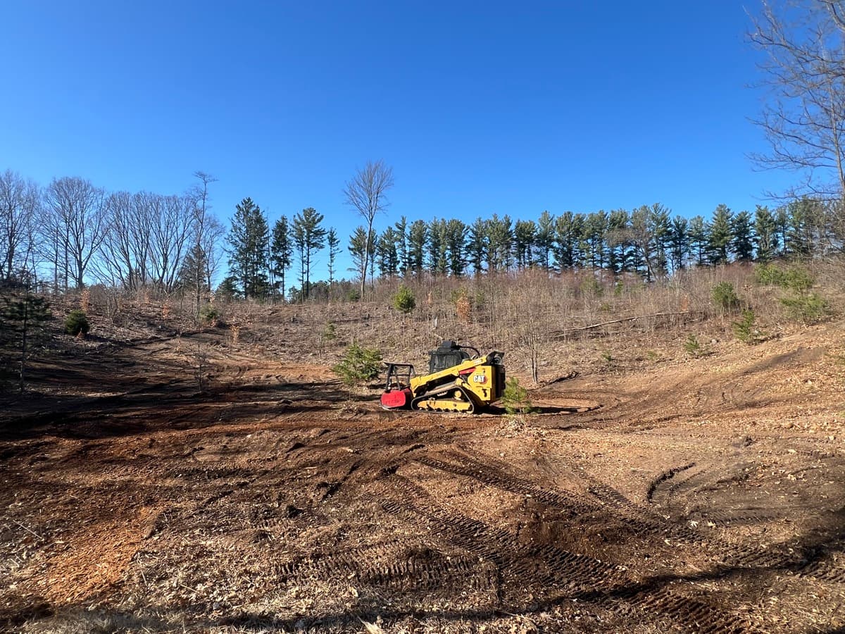 Forestry Mulching service in West Michigan
